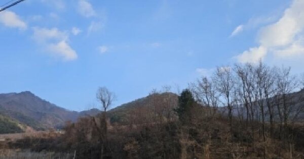 경상북도 봉화군 물야면 개단리 169 임야 경매 물건 이미지