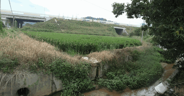 충청남도 부여군 은산면 내지리 757-9 답 경매 물건 이미지