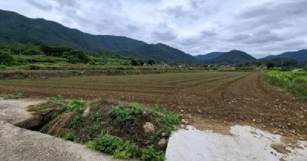 경상남도 산청군 단성면 운리 594-8 답 경매 물건 이미지