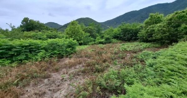 경상남도 산청군 단성면 운리 693 전 경매 물건 이미지