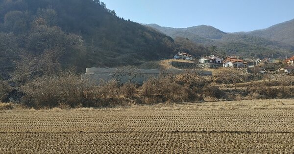 경상남도 밀양시 상동면 안인리 산77-7 임야 경매 물건 이미지