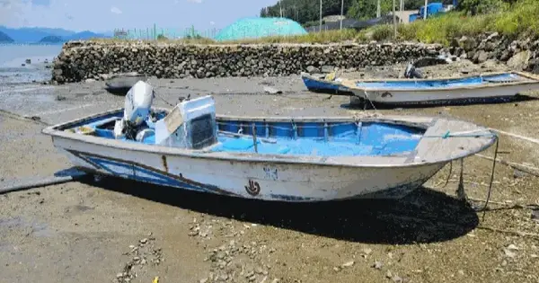 전라남도 완도군 군외면 .  선박 경매 물건 이미지