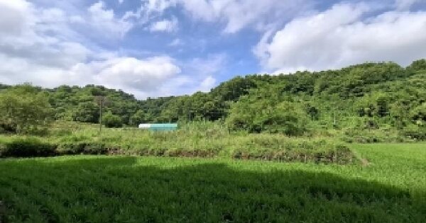 경상남도 진주시 문산읍 안전리 203 답 경매 물건 이미지