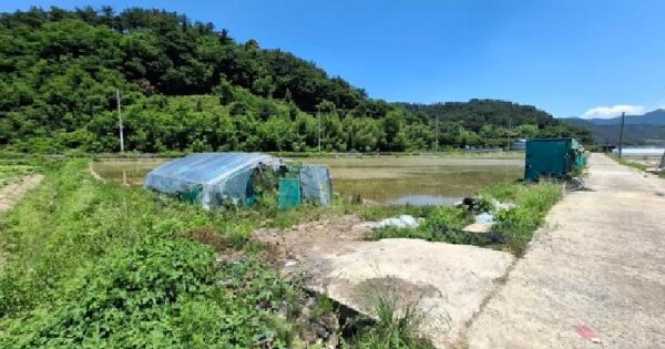 경상남도 진주시 지수면 압사리 279-6 답 경매 물건 이미지