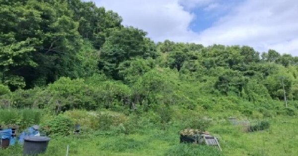 경상남도 진주시 문산읍 안전리 209 답 경매 물건 이미지