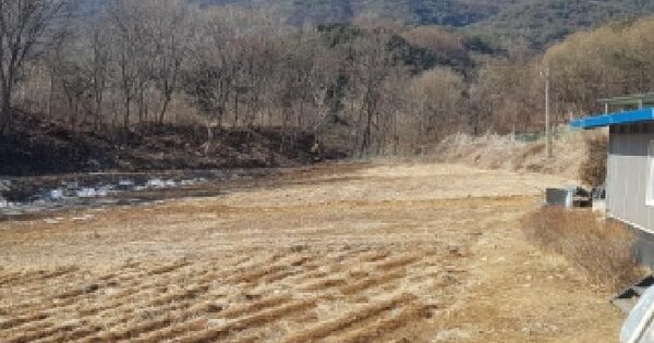 강원특별자치도 양구군 양구읍 학조리 513-1 전 경매 물건 이미지
