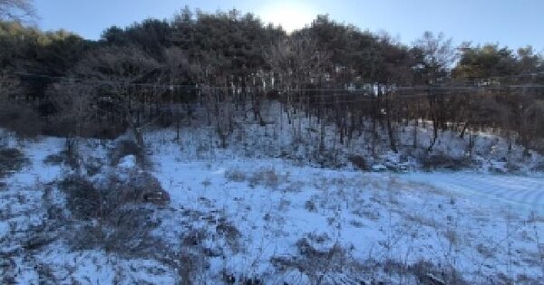 강원특별자치도 횡성군 둔내면 두원리 395-1 전 경매 물건 이미지