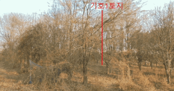 충청북도 음성군 대소읍 태생리 75-3 답 경매 물건 이미지