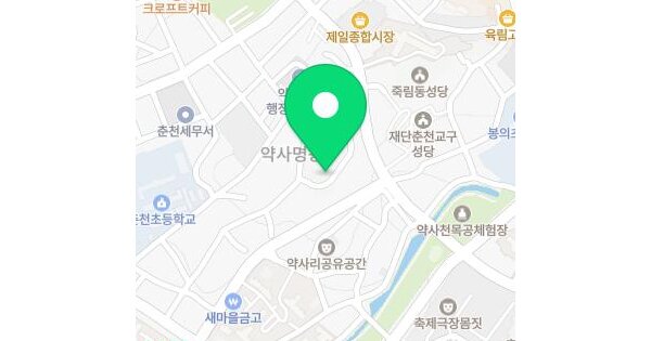 강원특별자치도 춘천시 약사동 68-70  임야 경매 물건 이미지