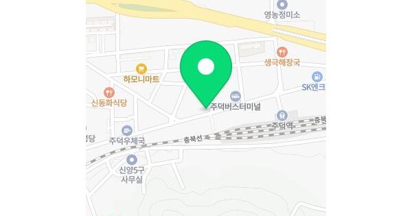 충청북도 충주시 주덕읍 신양리 165-4  대지 경매 물건 이미지