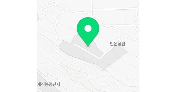 경상북도 고령군 개진면 반운리 111-4  공장 경매 물건 이미지