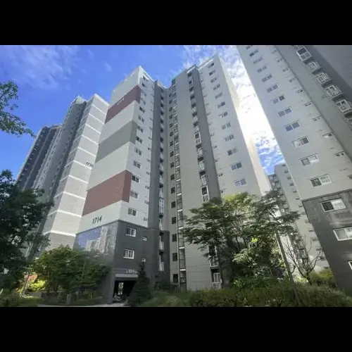 물건 사진