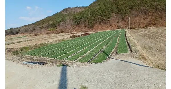 전남광주통합특별시 보성군 회천면 화죽리 1430-5 전 경매 물건 이미지