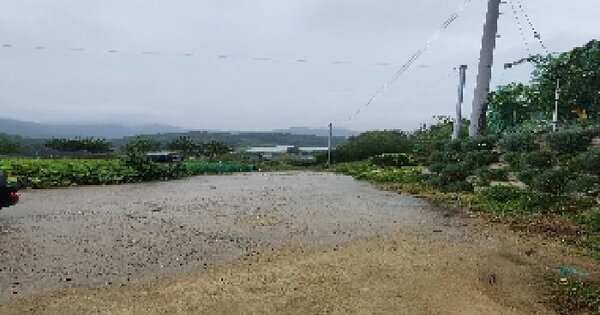 충청북도 옥천군 동이면 금암리 산39-10 임야 경매 물건 이미지