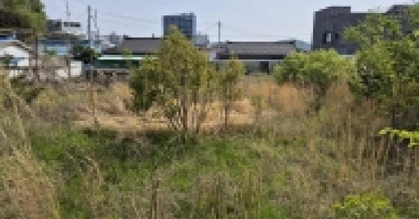 울산광역시 울주군 온산읍 강양리 104-6 답 경매 물건 이미지