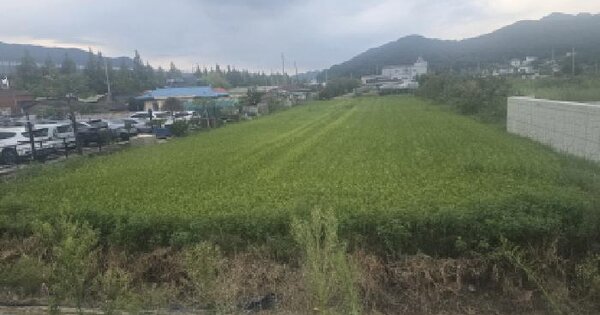 경상남도 양산시 물금읍 증산리 793-32 답 경매 물건 이미지