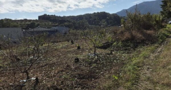 경상북도 경산시 남산면 상대리 OOOOO 답 경매 물건 이미지