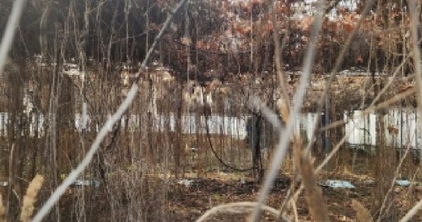 충청북도 옥천군 동이면 세산리 1118 과수원 경매 물건 이미지