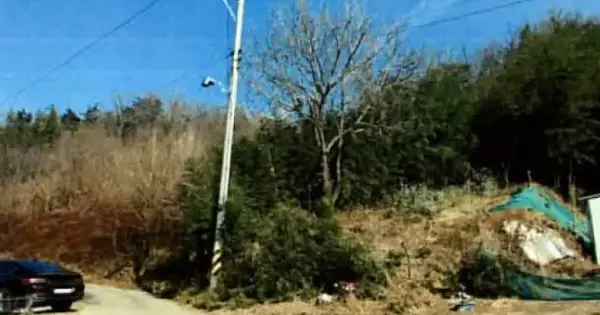 경상북도 영천시 화남면 월곡리 409 대지 경매 물건 이미지
