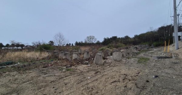 강원특별자치도 고성군 죽왕면 삼포리 산48-13 임야 경매 물건 이미지