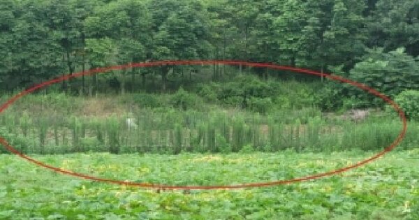 충청북도 청주시 상당구 미원면 성대리 193 전 경매 물건 이미지