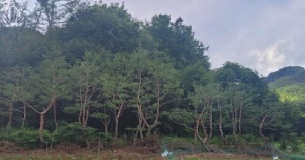 충청북도 청주시 상당구 미원면 성대리 382-5 전 경매 물건 이미지