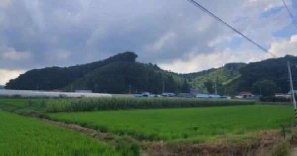 충청북도 청주시 상당구 미원면 성대리 262-1 답 경매 물건 이미지