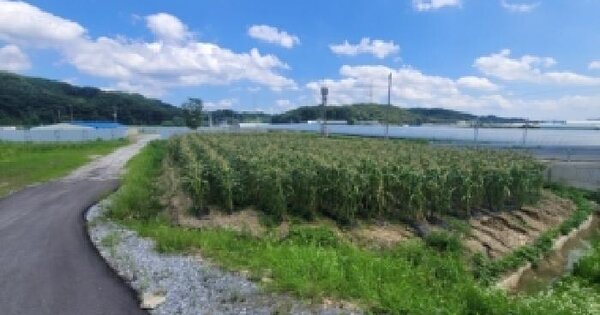 충청북도 청주시 서원구 현도면 중척리 423-1 전 경매 물건 이미지