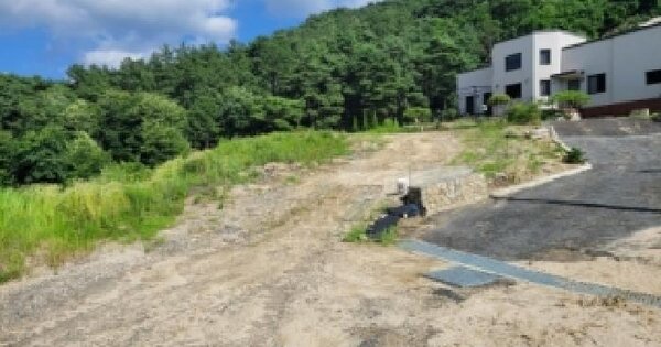 충청북도 청주시 상당구 가덕면 한계리 산38-44 임야 경매 물건 이미지