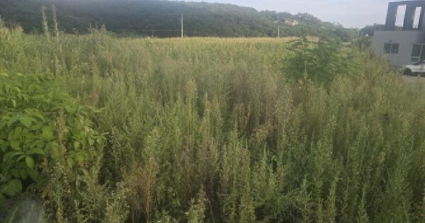울산광역시 울주군 상북면 산전리 756-8 전 경매 물건 이미지