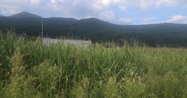 울산광역시 울주군 상북면 산전리 756-6 답 경매 물건 이미지