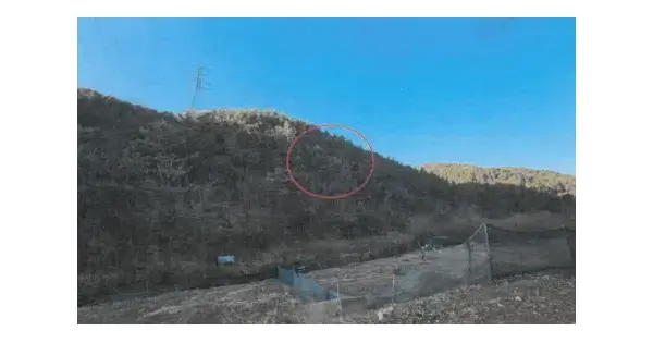 울산광역시 울주군 두동면 봉계리 산199-2 임야 경매 물건 이미지