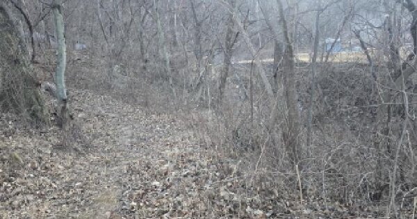 경상북도 칠곡군 기산면 각산리 847-2 전 경매 물건 이미지