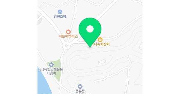 인천광역시 중구 남북동 947-8  임야 경매 물건 이미지