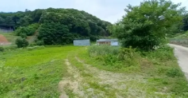 경기도 연천군 청산면 백의리 182 전 경매 물건 이미지