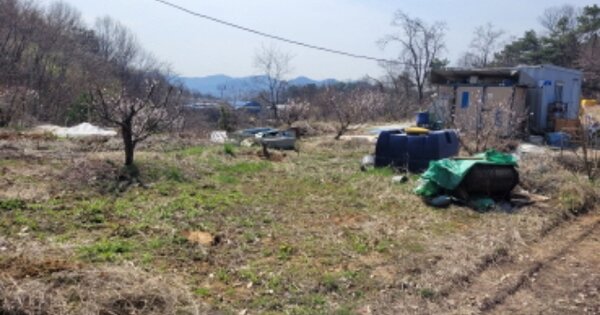 경기도 화성시 효행구 매송면 야목리 OOOOO 임야 경매 물건 이미지