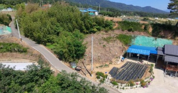 경상남도 합천군 초계면 신촌리 559-2 임야 경매 물건 이미지