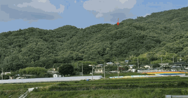 경상남도 거창군 마리면 율리 555 임야 경매 물건 이미지