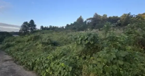 경상남도 합천군 묘산면 광산리 87-5 전 경매 물건 이미지