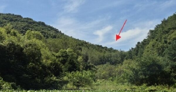 강원특별자치도 횡성군 공근면 창봉리 산66 임야 경매 물건 이미지