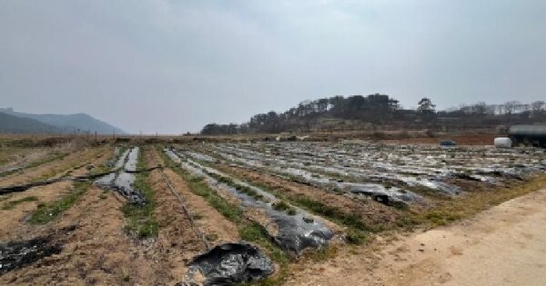 전북특별자치도 고창군 해리면 안산리 272 전 경매 물건 이미지