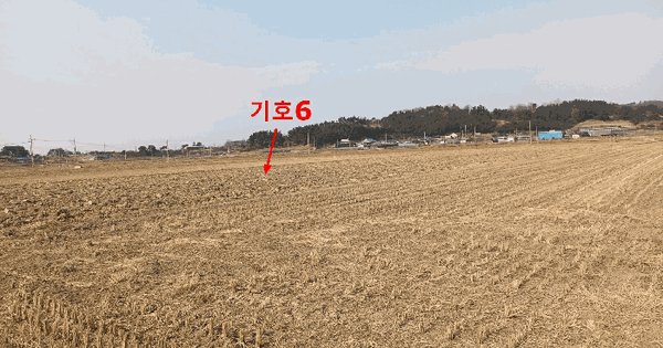 전북특별자치도 김제시 광활면 옥포리 1675 답 경매 물건 이미지