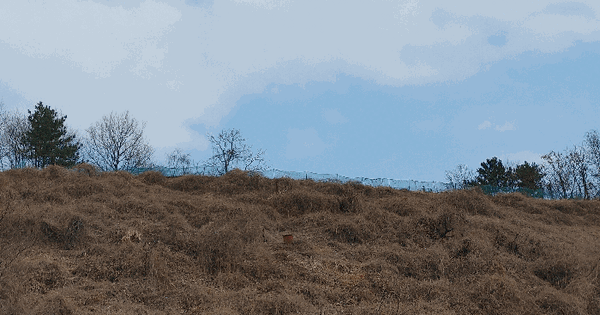 경상남도 고성군 하일면 학림리 산169 임야 경매 물건 이미지