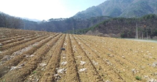 강원특별자치도 홍천군 내면 율전리 289-9 전 경매 물건 이미지