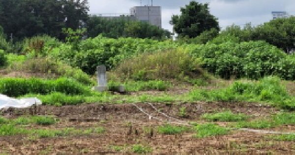 전북특별자치도 익산시 금마면 산북리 176 답 경매 물건 이미지