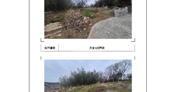 전남광주통합특별시 무안군 청계면 강정리 397 대지 경매 물건 이미지