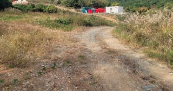 경상남도 통영시 산양읍 영운리 156-1 답 경매 물건 이미지