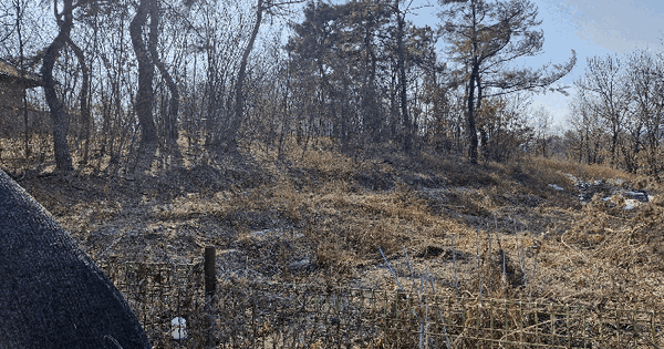 경상남도 창녕군 영산면 월령리 1075-3 전 경매 물건 이미지
