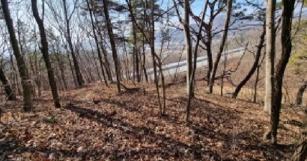 충청남도 금산군 군북면 외부리 272-11 임야 경매 물건 이미지