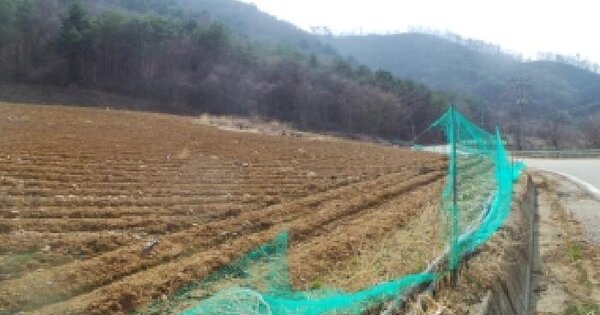 강원특별자치도 홍천군 내면 율전리 산24 임야 경매 물건 이미지